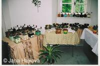 Oslava 700 let od písemné zmínky o obci Trnávka