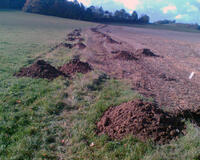 Hodslavice alej - díry