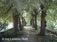 Tovačov, Zámek - hradby