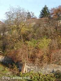 Tovačov, Zámek - hradby