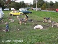 Trnávský sprint 3. ročník 13.-14.10.2007