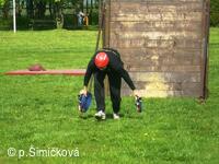 p.Podešva