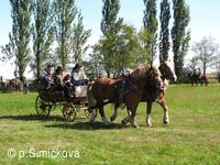 Hubertova jízda