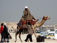 CK Shenkos, Egypt, Giza