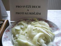 Hodslavice Dobytí severního pólu