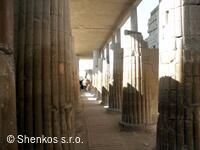 CK Shenkos, Egypt, Sakkara