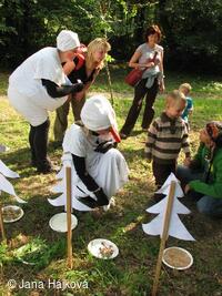 Procházka pohádkovým lesem