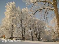luboměřská zima