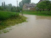 Kujavy