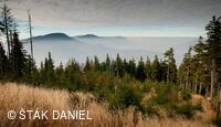 ŠTÁK DANIEL inverze