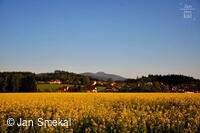 Foto Jan Smekal