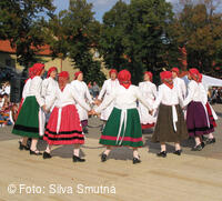 Muzejní spolek Velkobítešska