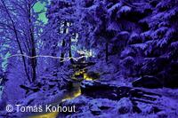 Foto LH24 Tomáš Kohout